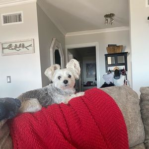 Meet your Posher, Kimberly